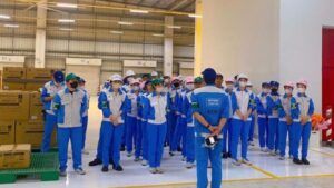 thẻ an toàn lao động có cần gia hạn định kỳ